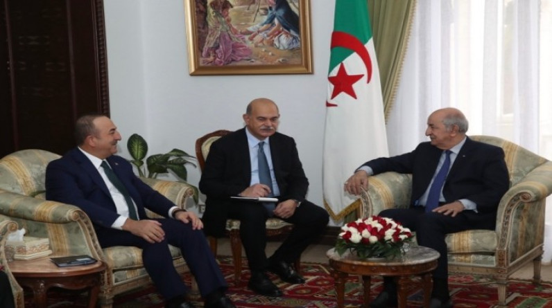 وزير الخارجية التركي جاويش أوغلو يزور الجزائر السبت